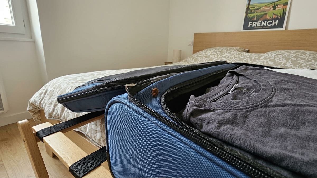 Punaise de lit voyageant dans un bagage, illustration de la propagation
